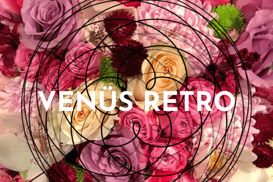 Venüs Retrosu 2023 22 Temmuz – 4 Eylül